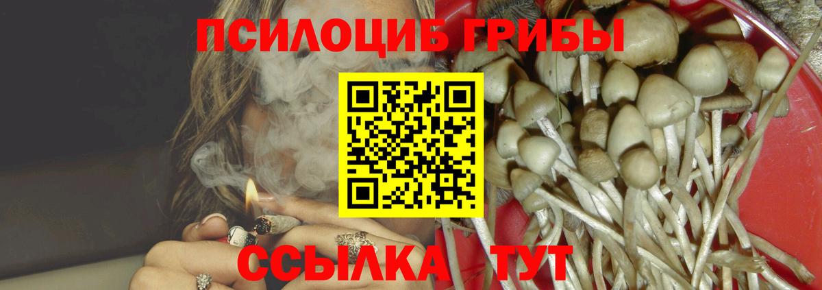 Серпухов  Галлюциногенные грибы MAGIC MUSHROOMS  Вход с VPN 
